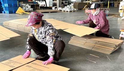 望江新春复工“满格电”，纸容器制造业冲刺“开门红”